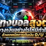 แทงบอลสูงต่ำ